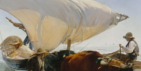 SE-8569098b-b439-4c4d-8b68-e0564f3f2135.jpg?type=w466