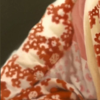 SE-d701fa92-1aec-494e-bf36-1b60e6144c08.png?type=w466