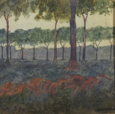 SE-5e01e58a-6956-4862-8759-e785f37f01eb.jpg?type=w466