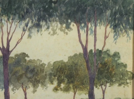 SE-0828bf21-79ae-4094-9c19-ffb764fb39af.jpg?type=w466