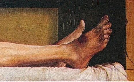 SE-55a348ce-049f-474b-8c0a-433acce87b86.jpg?type=w466