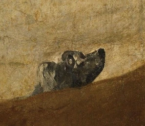 SE-a0eb2199-cb10-4c9d-adb2-32c27012fc30.jpg?type=w466