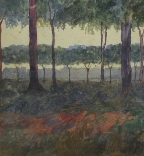 SE-e5125f3e-1c06-483d-8c74-9ebfb3ea6eeb.jpg?type=w466