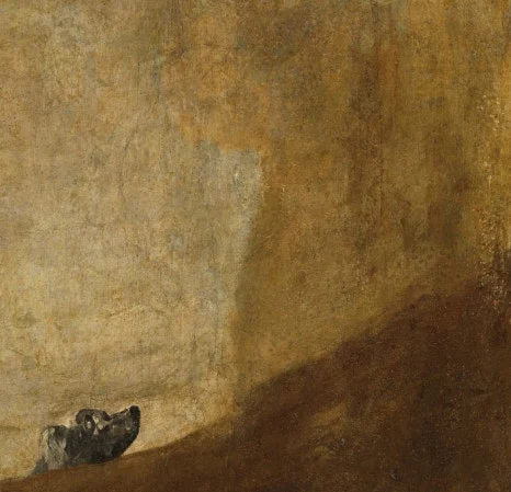 SE-8740271a-a0a5-4dd3-a2a3-6fbf5df19d5a.jpg?type=w466