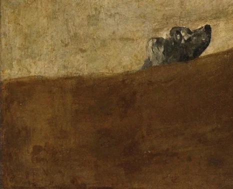 SE-d5c3276a-79d7-4edb-bfe6-70412652dac9.jpg?type=w466