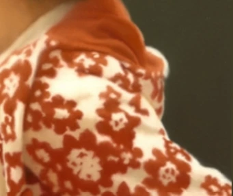 SE-7f005388-0930-46b5-8ec5-0f2f1db55d95.png?type=w466