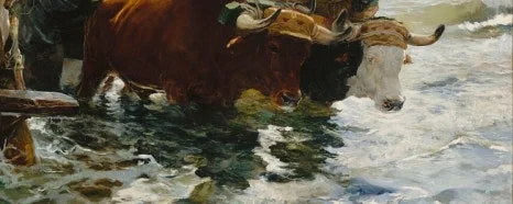 SE-590eb14b-ccbd-45bb-ad8e-ef6af6d52795.jpg?type=w466