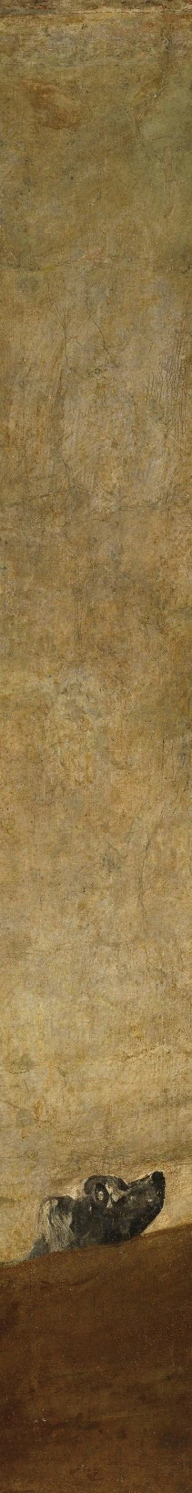 SE-8c49c7ee-5159-4ea2-848f-05f1853e79e1.jpg?type=w466