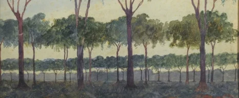 SE-8cfcf14d-7f09-4864-b818-e2d465040b98.jpg?type=w466