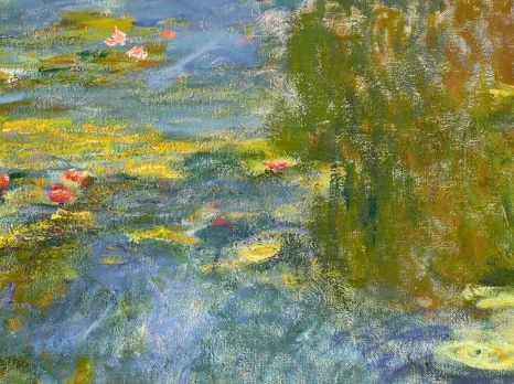 SE-916338cb-9eb3-4f62-bc1c-5b07e379f6d5.jpg?type=w466