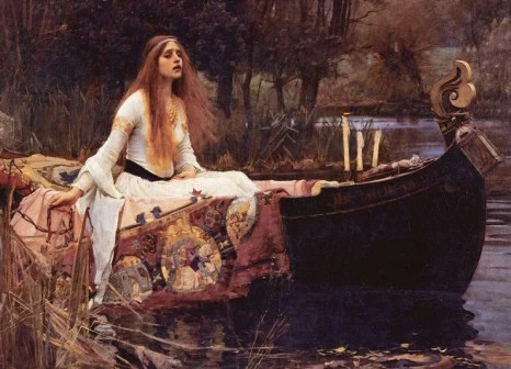 SE-b9d7efc0-1d9f-4e8e-a5fa-b263eea1698b.jpg?type=w466