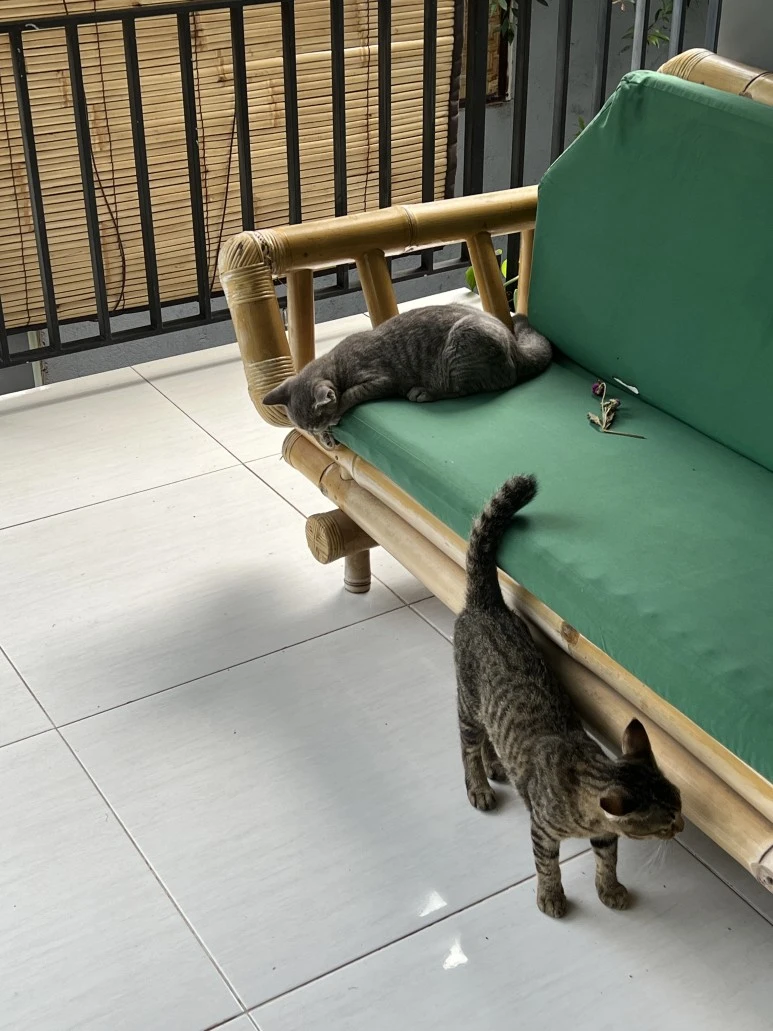 IMG_9054.JPG?type=w773