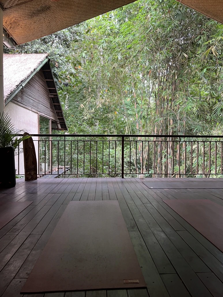 IMG_9067.JPG?type=w773