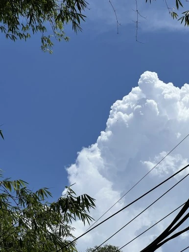 IMG_0205.JPG?type=w386