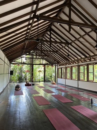 IMG_0195.JPG?type=w386