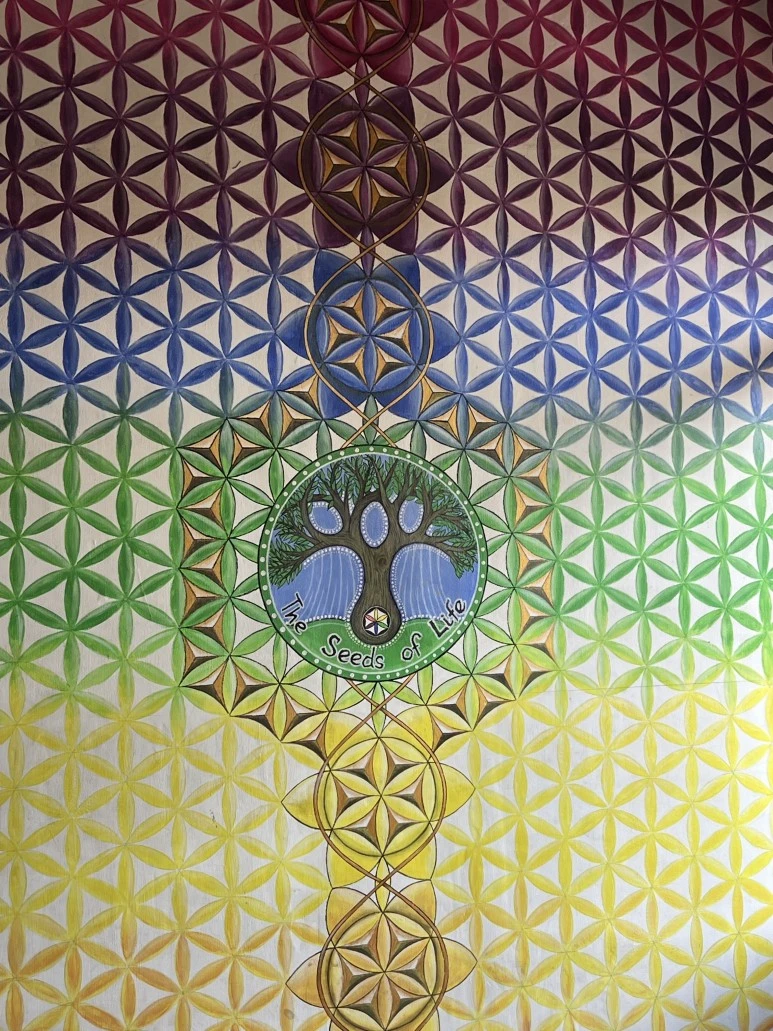 IMG_9123.JPG?type=w773