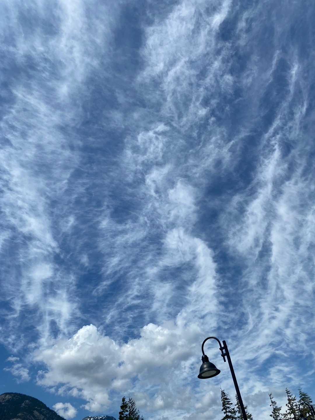 KakaoTalk_Photo_2023-05-22-11-49-36 003.jpeg