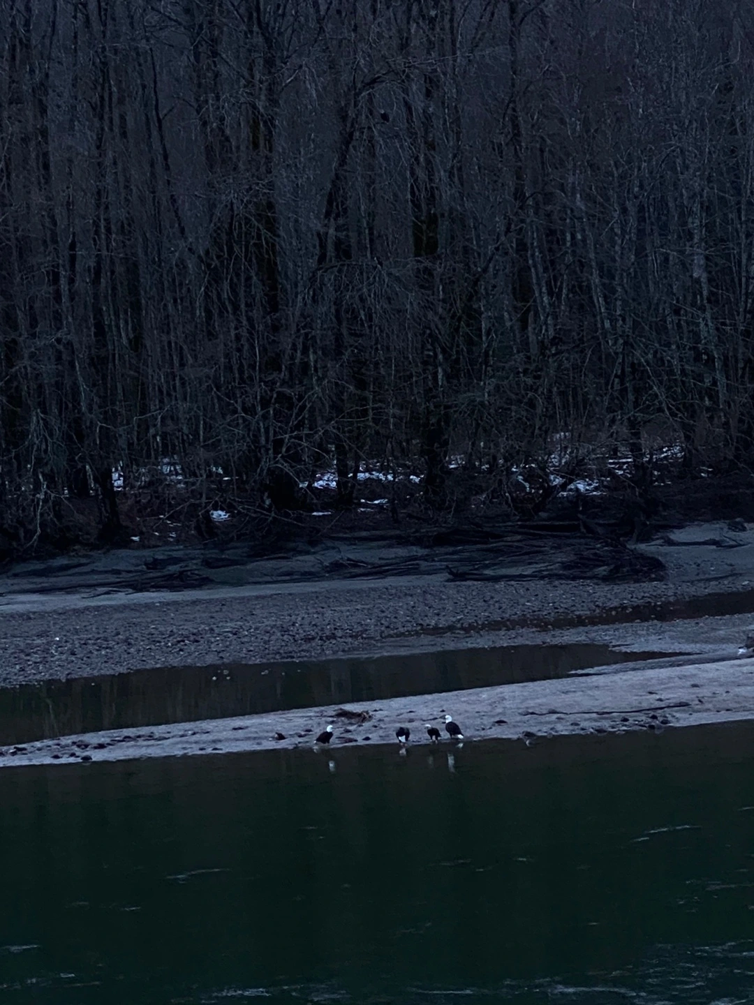 KakaoTalk_Photo_2023-01-13-18-18-57 001.jpeg