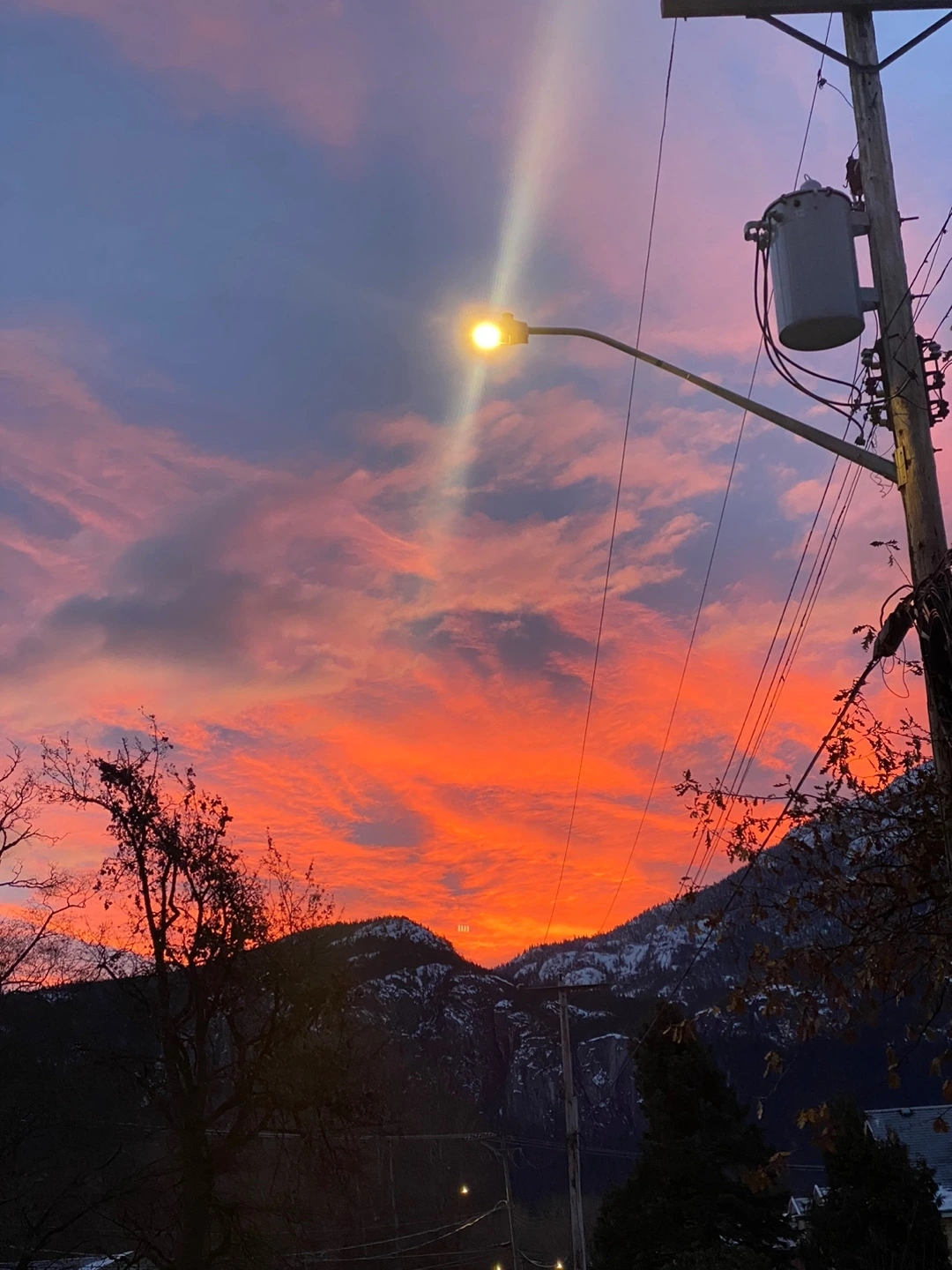 KakaoTalk_Photo_2023-04-14-00-46-03 005.jpeg