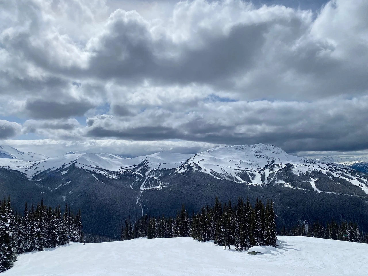 KakaoTalk_Photo_2023-04-17-00-34-18 002.jpeg