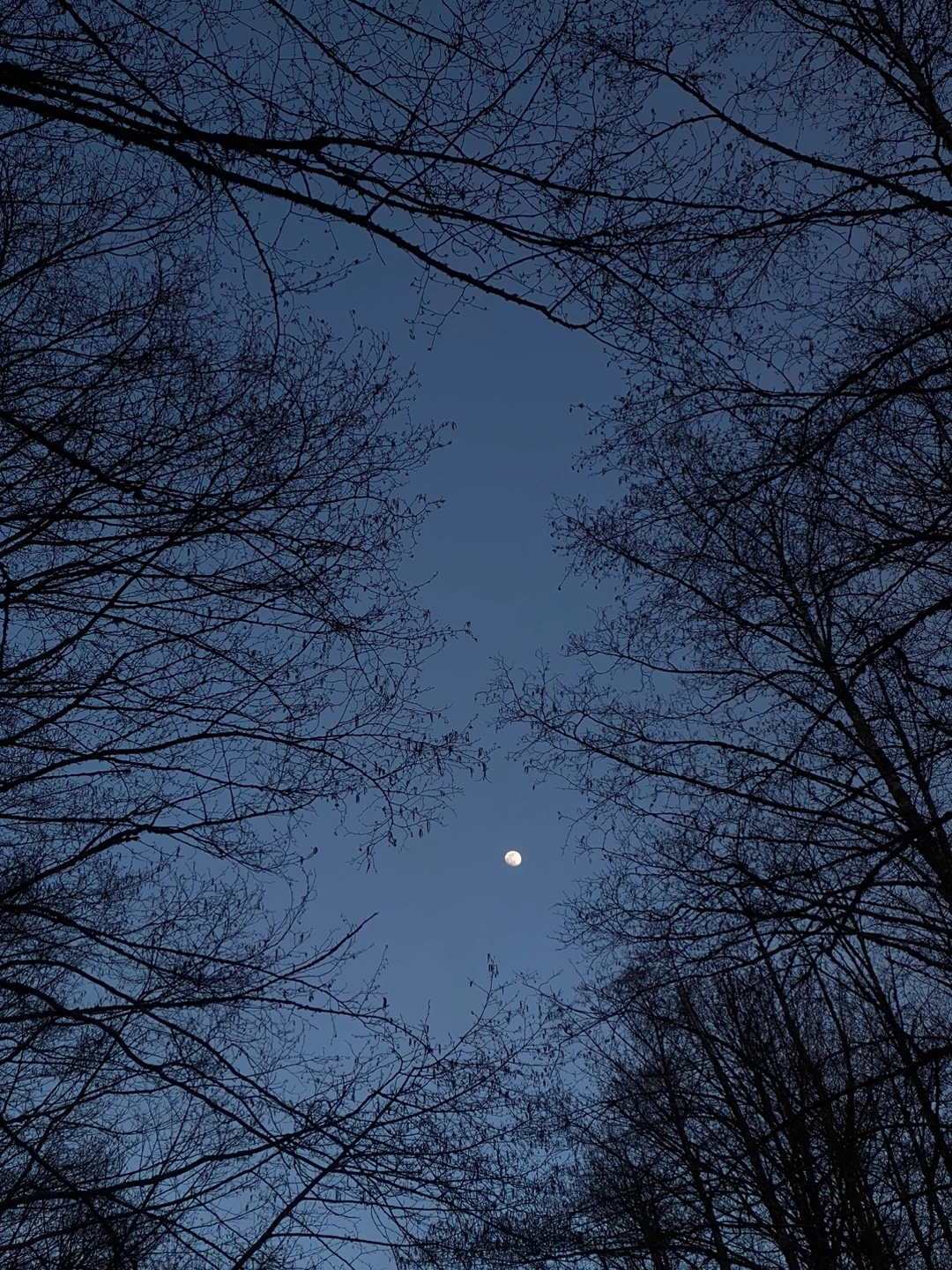 KakaoTalk_Photo_2023-04-14-00-45-54 002.jpeg