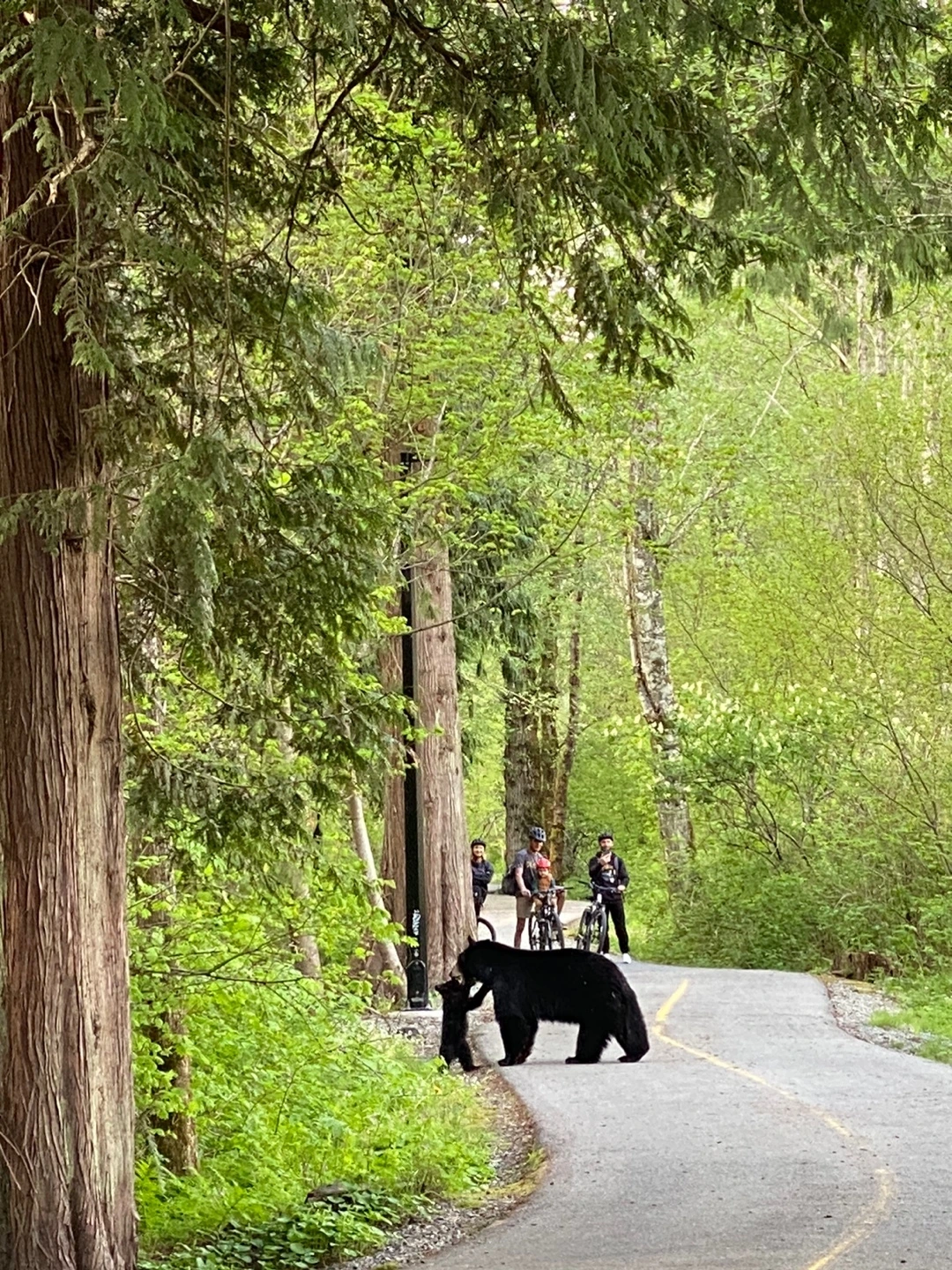 KakaoTalk_Photo_2023-05-07-23-24-14 001.jpeg