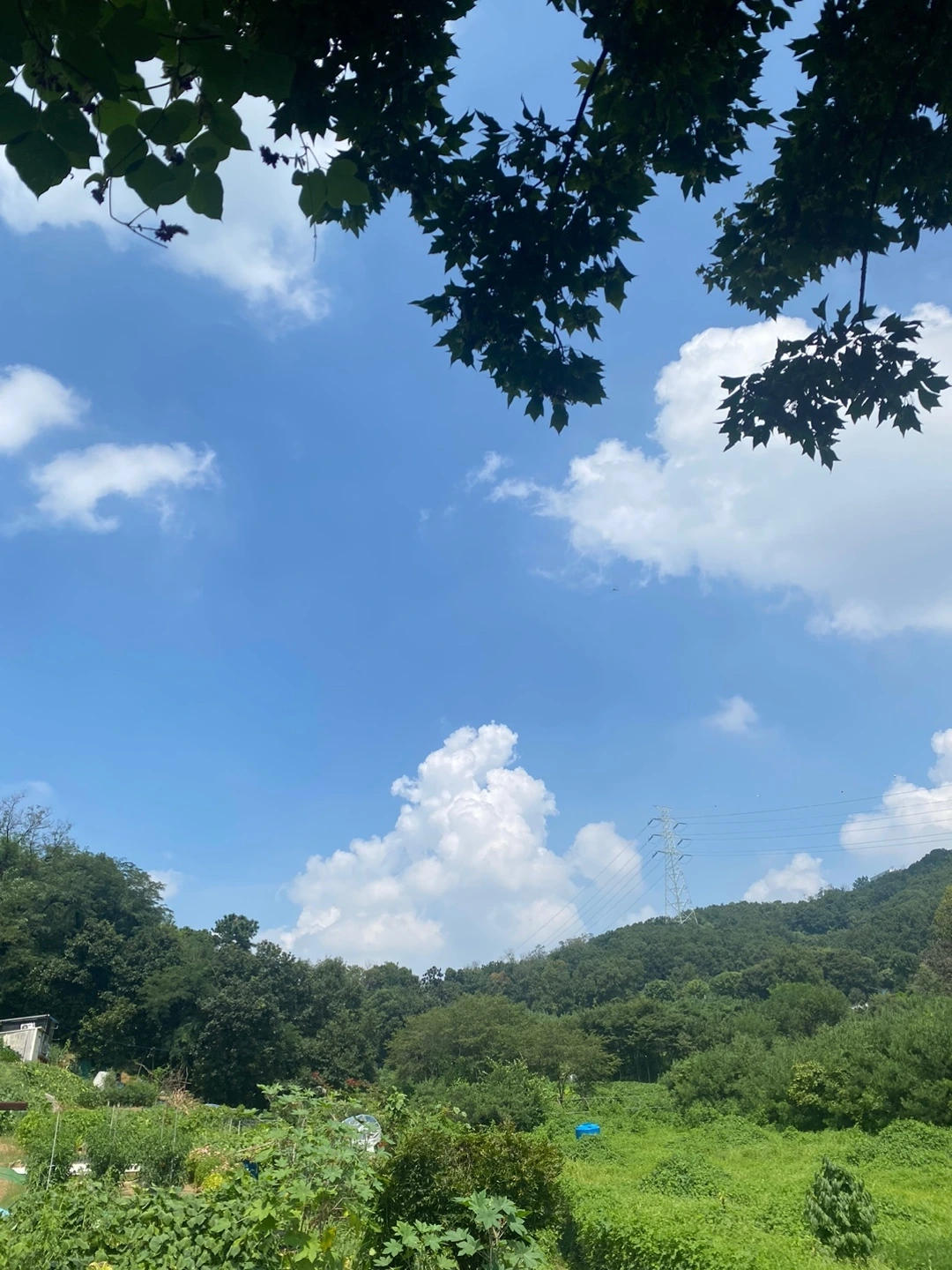 KakaoTalk_Photo_2024-08-19-14-47-59 001.jpeg