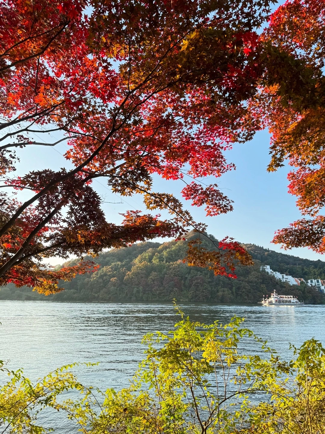 KakaoTalk_Photo_2023-11-20-13-34-18 003.jpeg