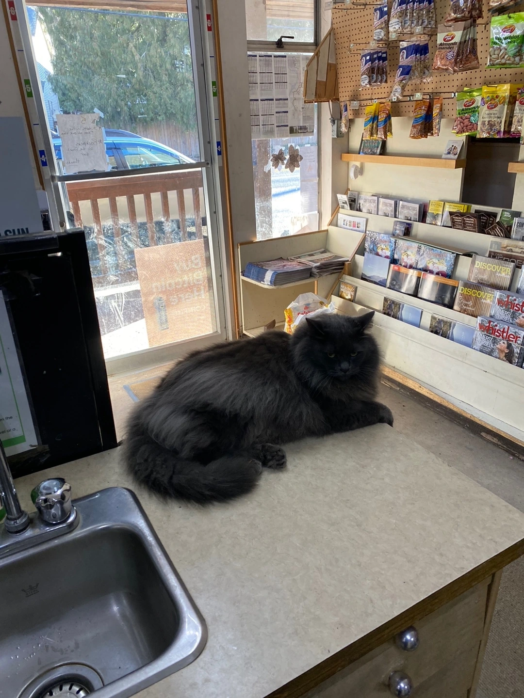 KakaoTalk_Photo_2023-04-23-00-07-52 004.jpeg