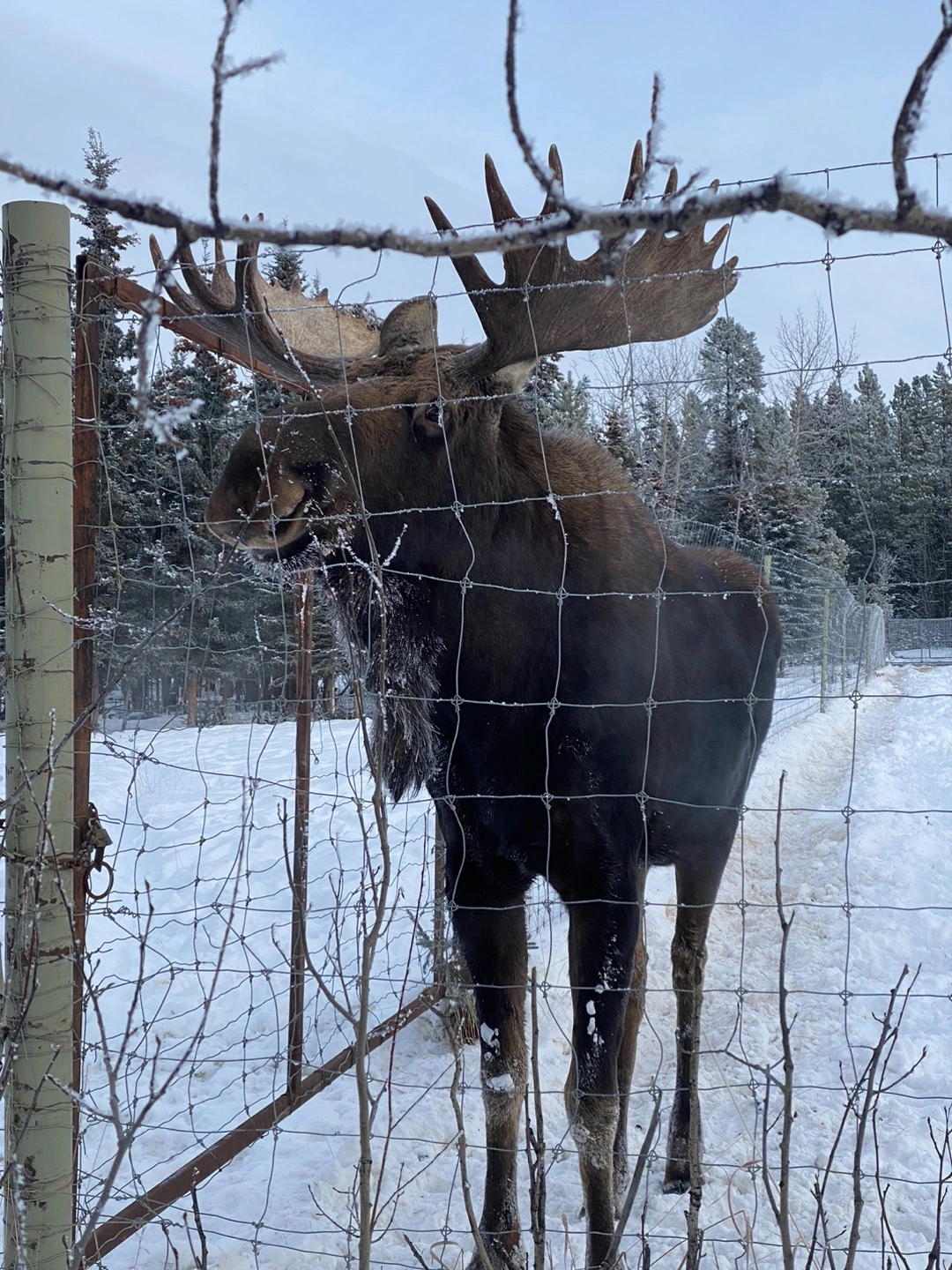 KakaoTalk_Photo_2023-02-14-23-18-18 010.jpeg