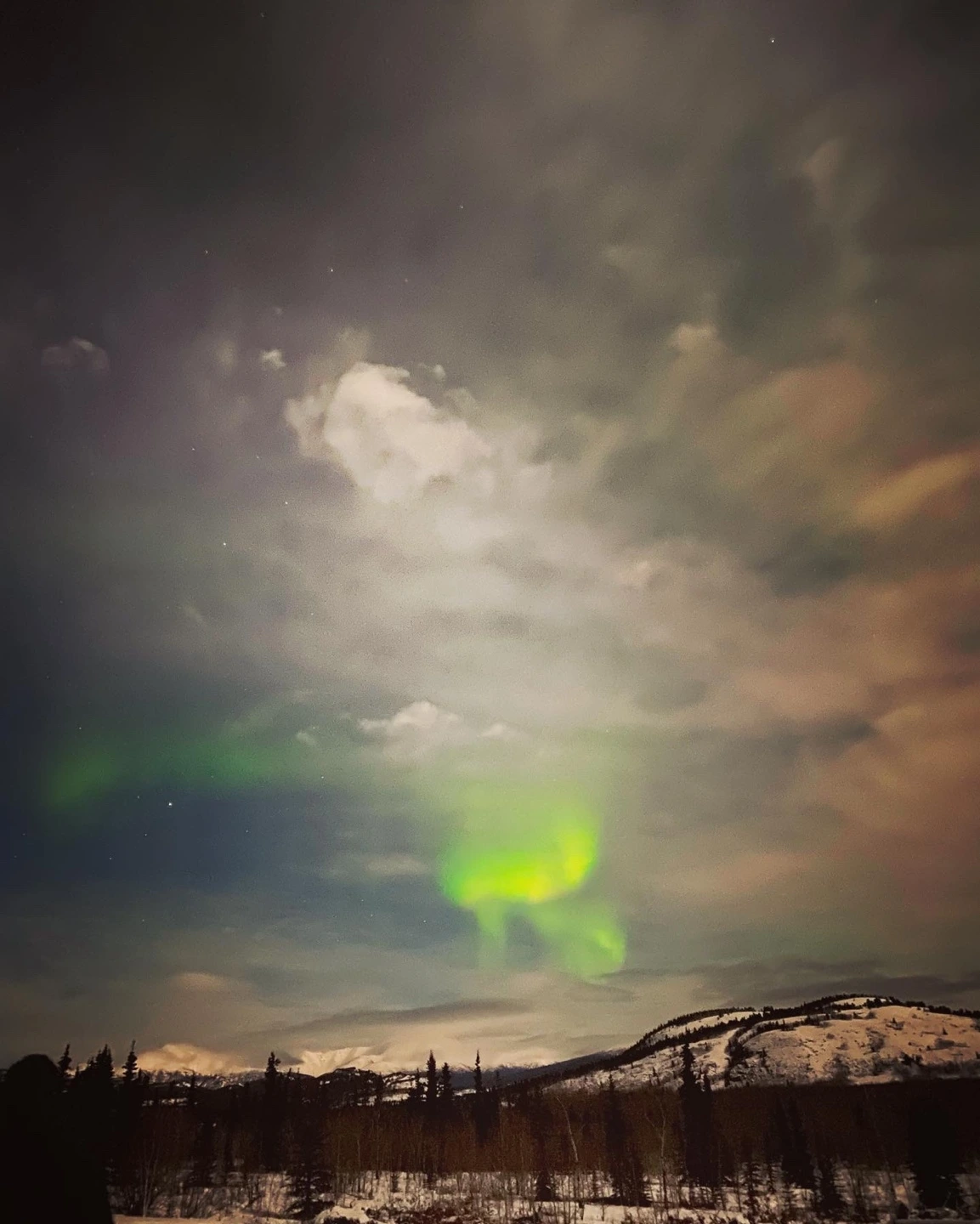 KakaoTalk_Photo_2023-02-19-21-18-25 001.jpeg