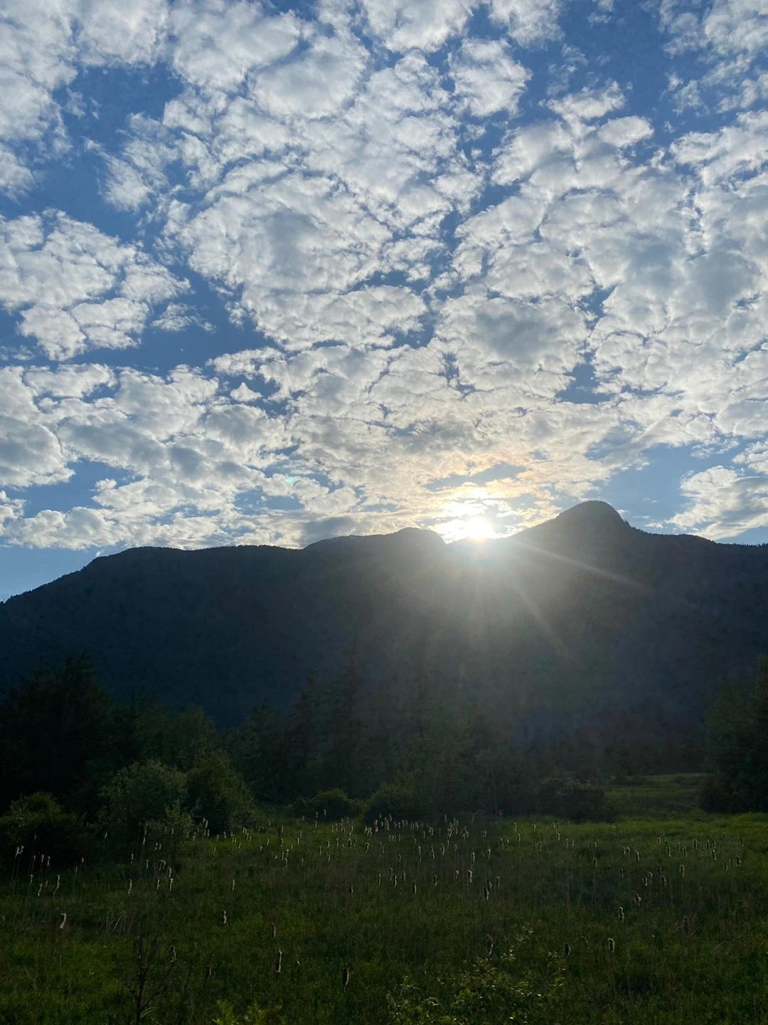 KakaoTalk_Photo_2023-05-27-22-09-30 004.jpeg