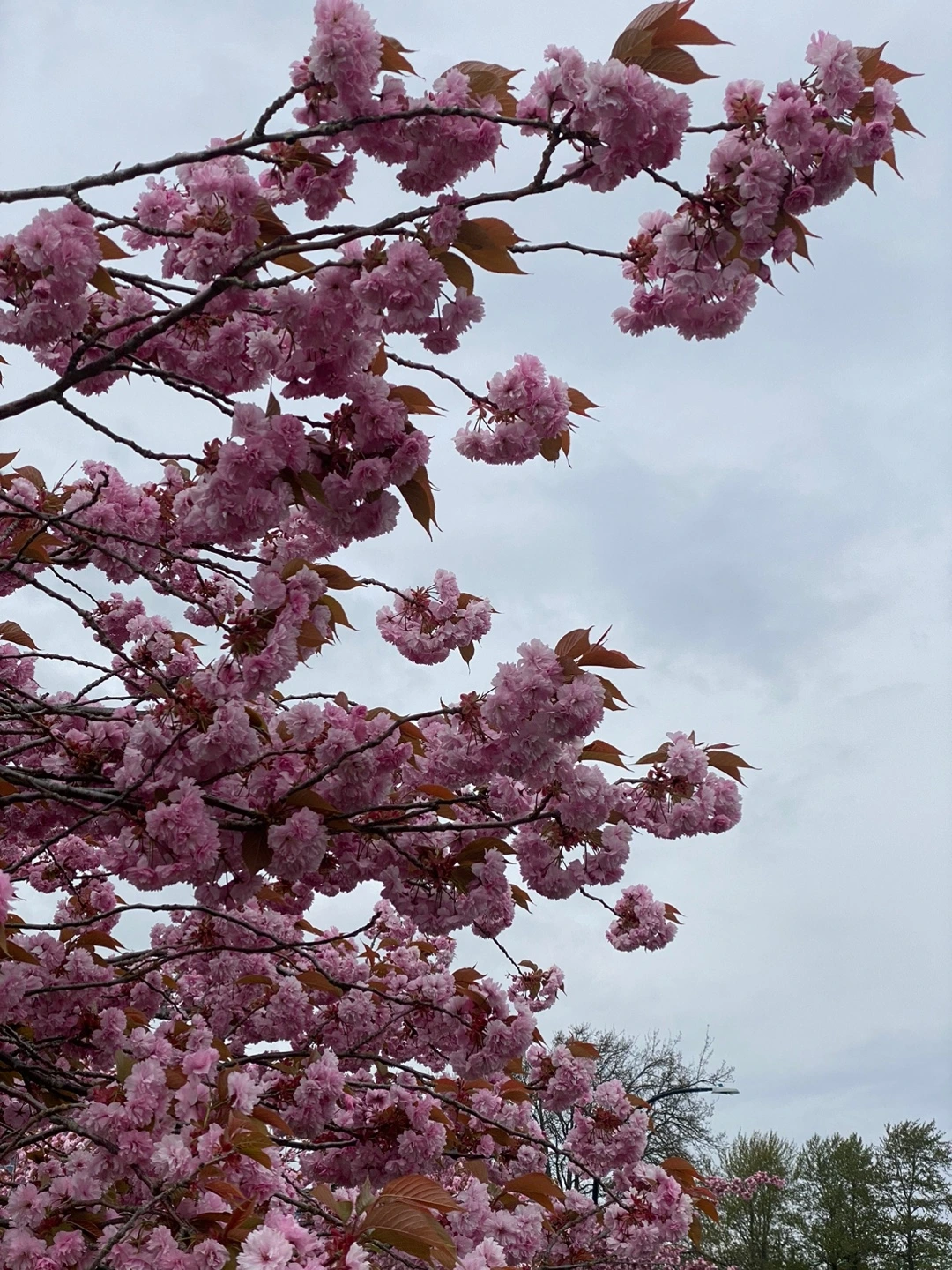 KakaoTalk_Photo_2023-05-07-23-24-23 003.jpeg