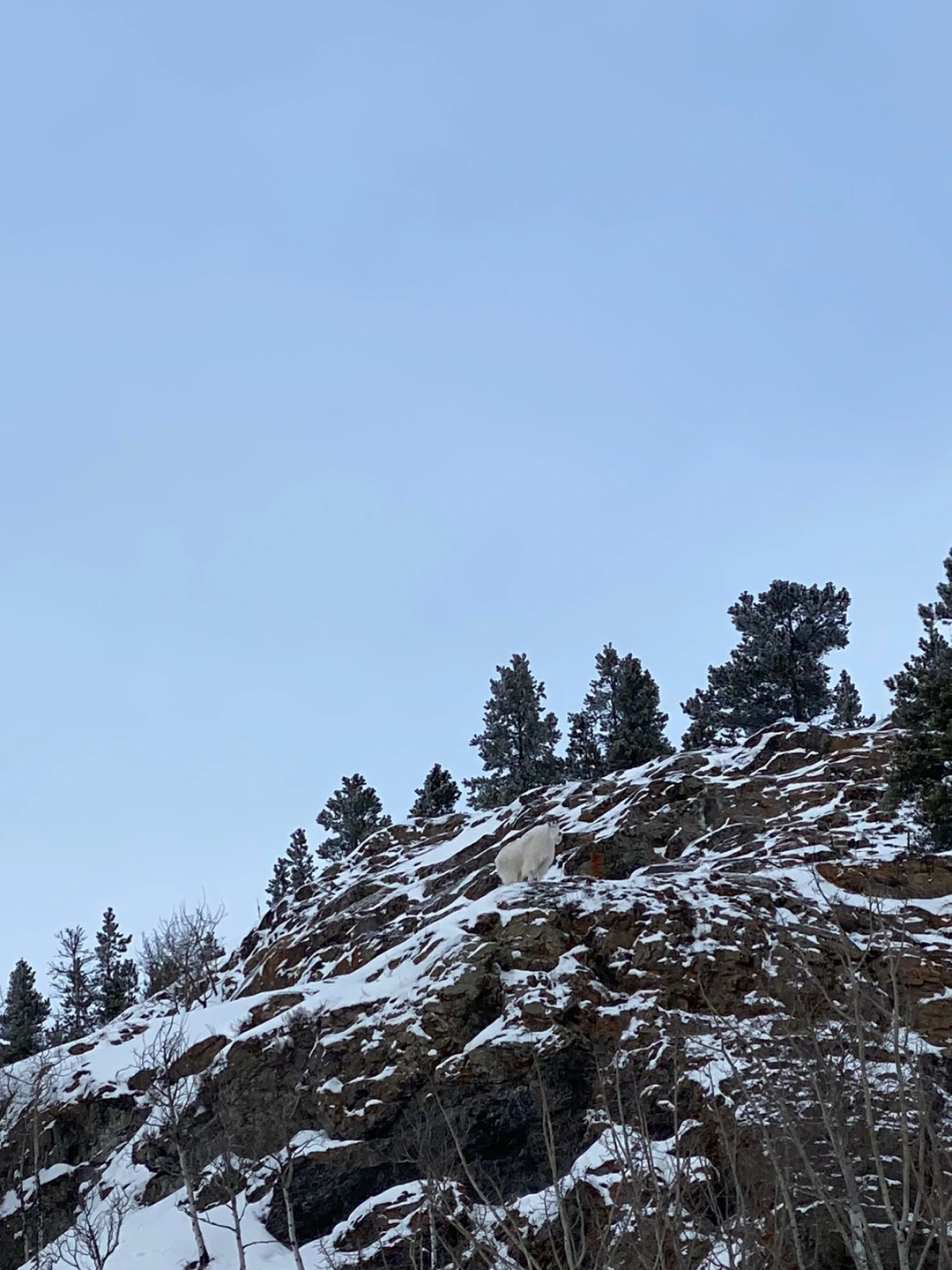 KakaoTalk_Photo_2023-02-14-23-18-04 007.jpeg