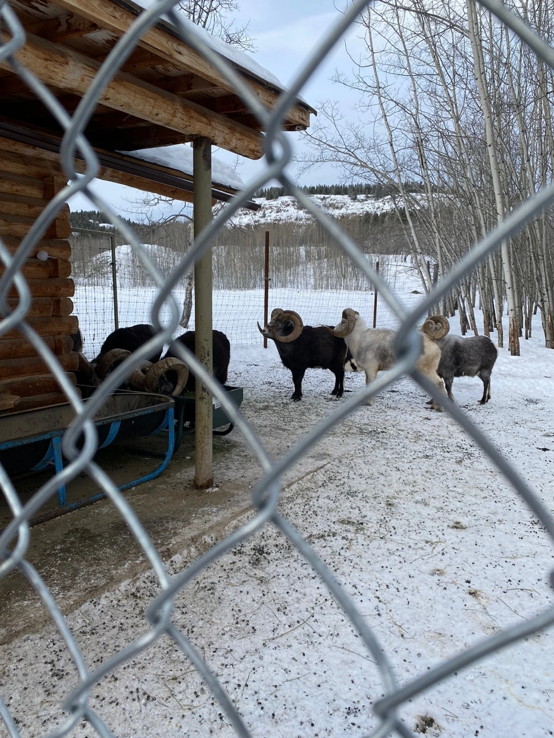 KakaoTalk_Photo_2023-02-14-23-18-13 009.jpeg