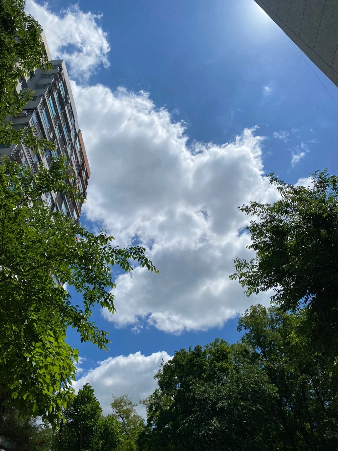 KakaoTalk_Photo_2024-07-17-01-48-25 001.jpeg