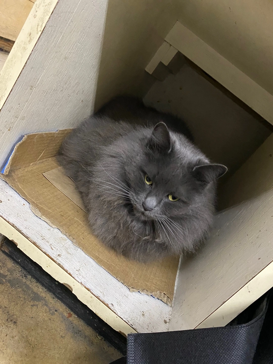 KakaoTalk_Photo_2023-04-23-00-07-49 003.jpeg