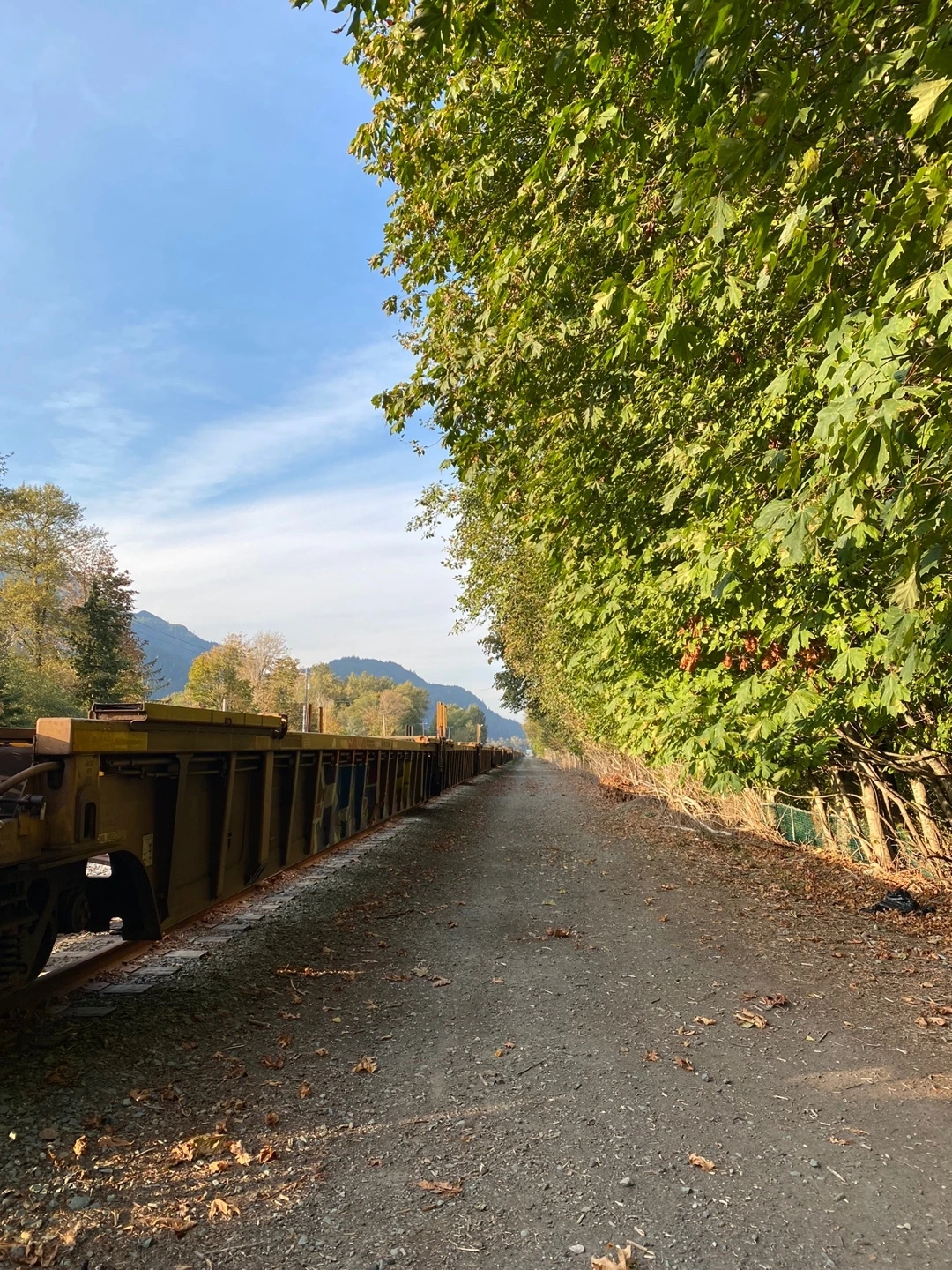 KakaoTalk_Photo_2022-10-28-23-39-51 003.jpeg