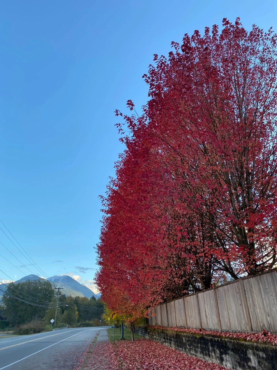 KakaoTalk_Photo_2022-11-13-21-51-59 004.jpeg