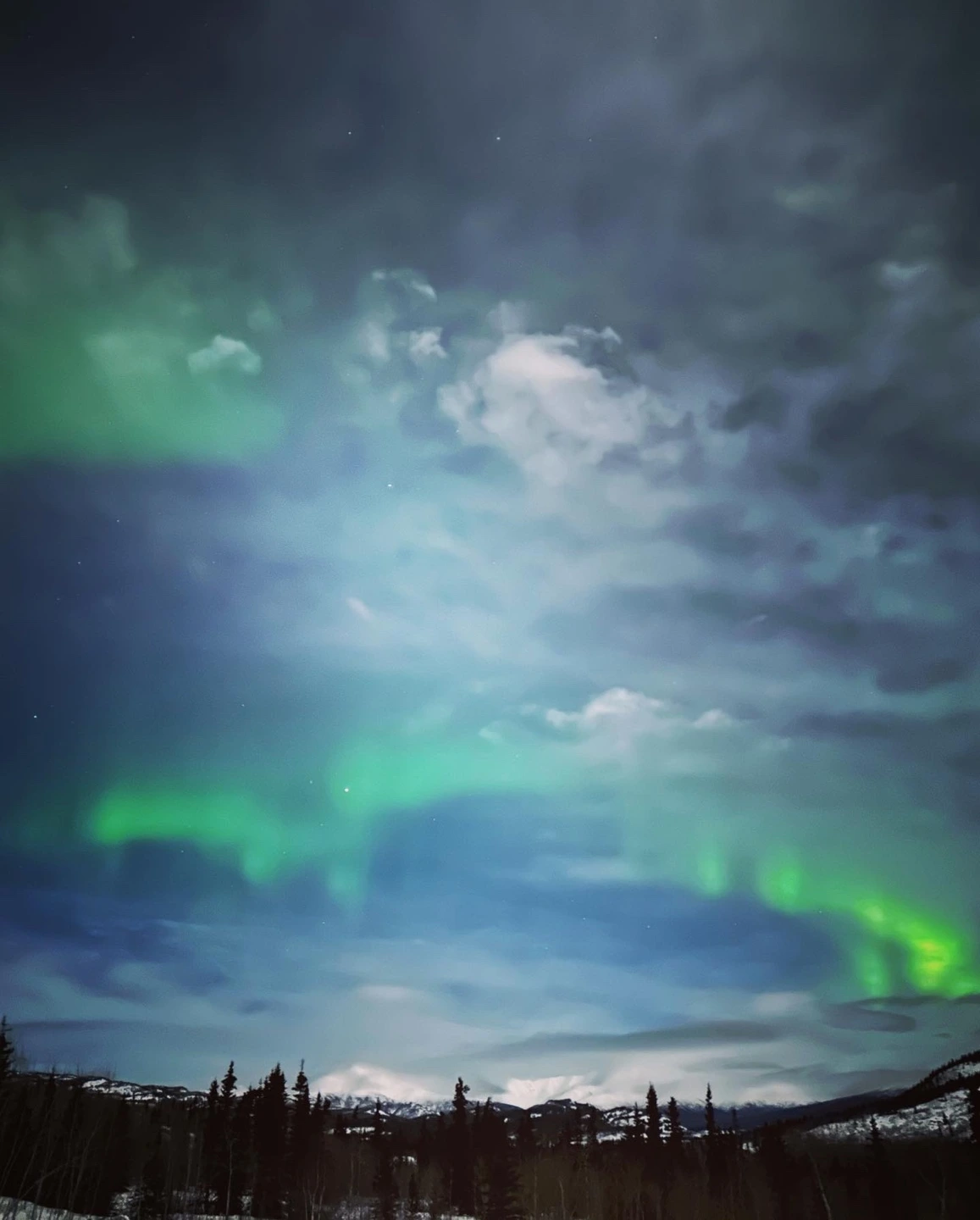 KakaoTalk_Photo_2023-02-19-21-18-29 002.jpeg