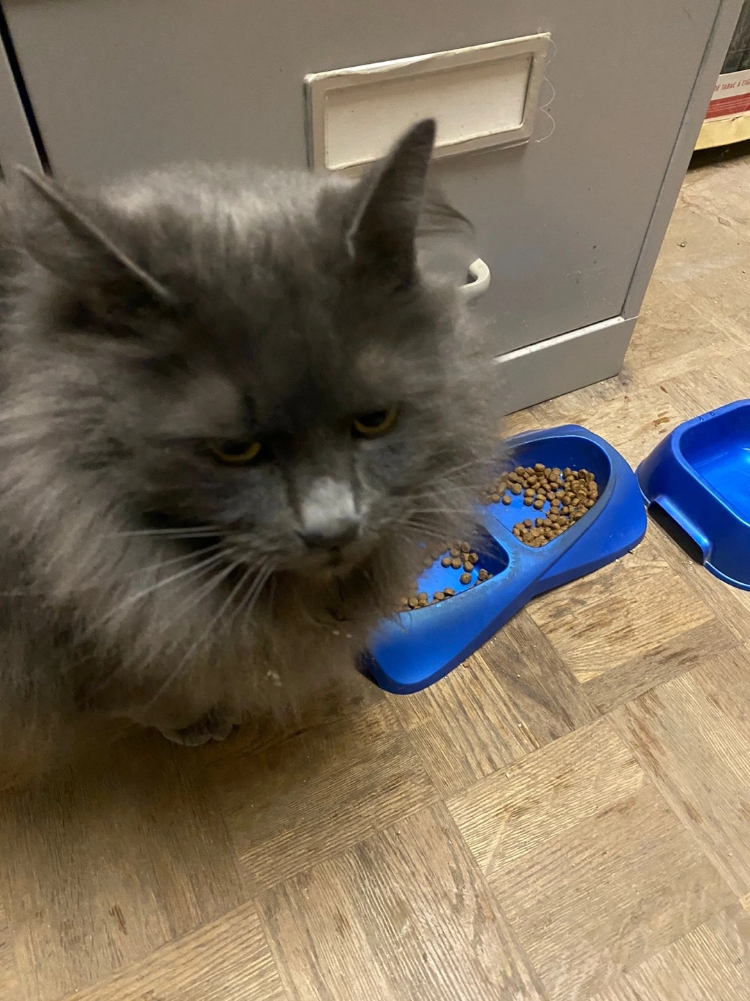 KakaoTalk_Photo_2023-04-23-00-07-46 002.jpeg