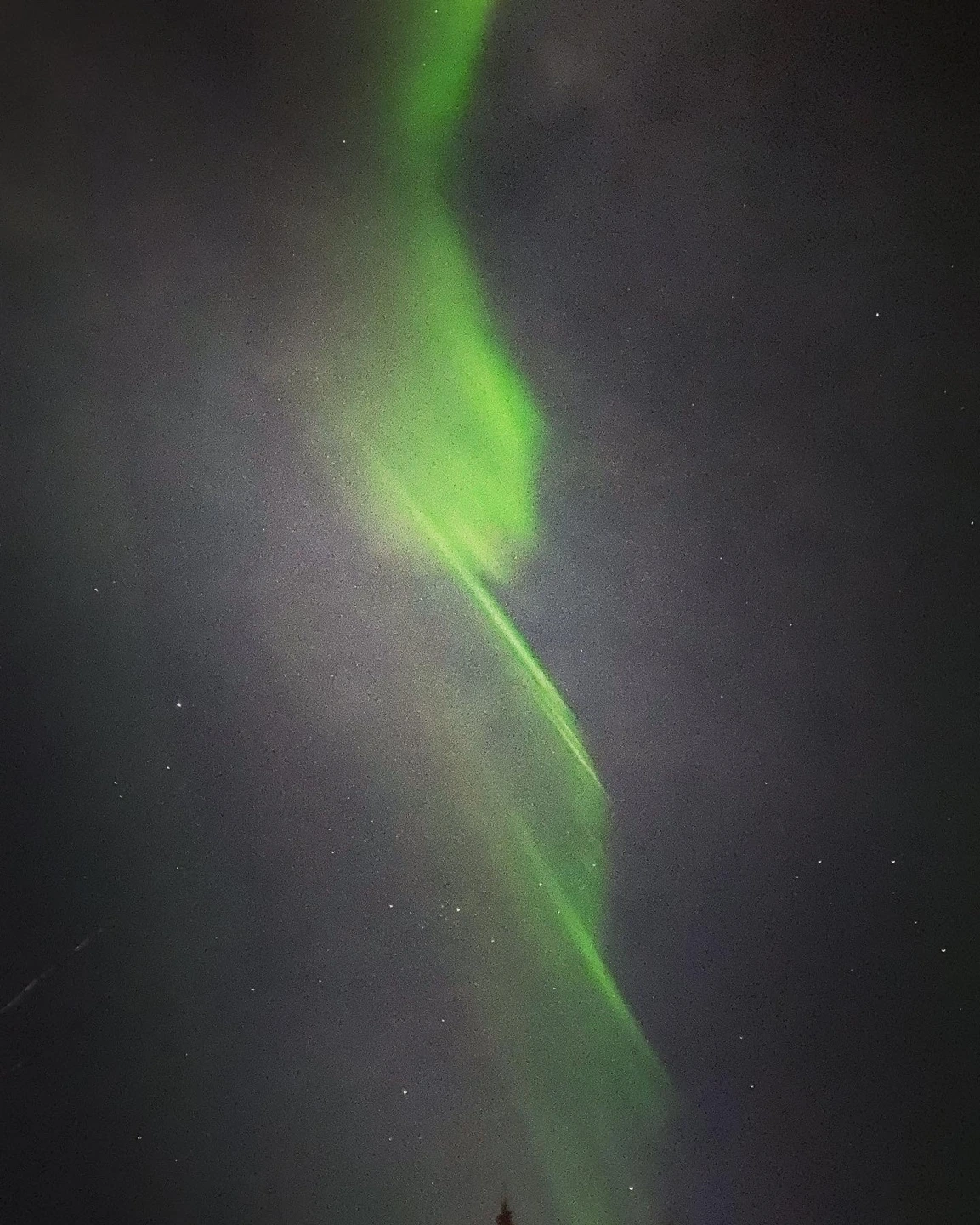 KakaoTalk_Photo_2023-02-19-21-18-43 007.jpeg