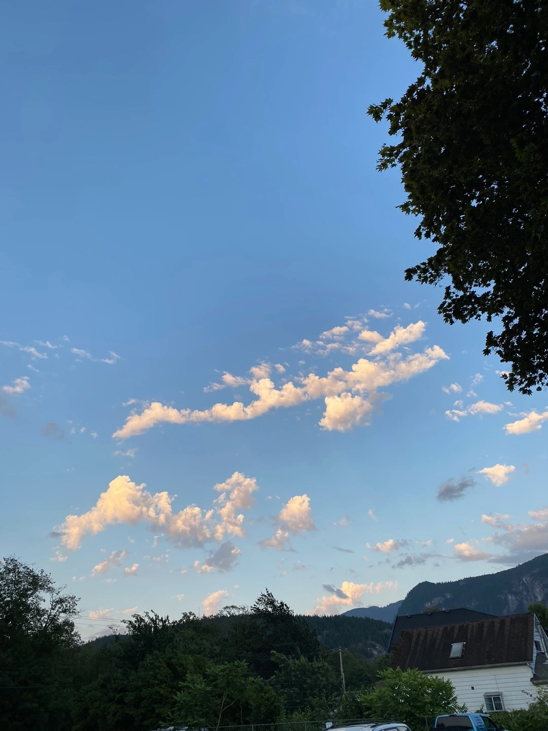 KakaoTalk_Photo_2022-08-12-22-47-04 001.jpeg