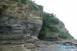 188042.jpg?type=m250&wm=N