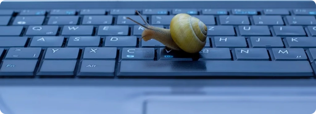 _upload_1760456865.png?u=1760456866