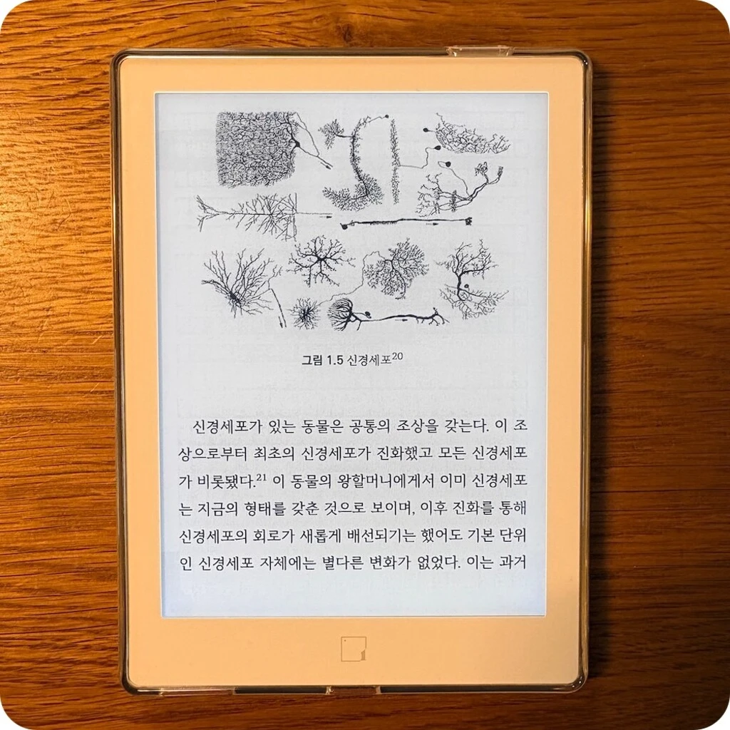 _upload_1760457362.jpeg?u=1760457362