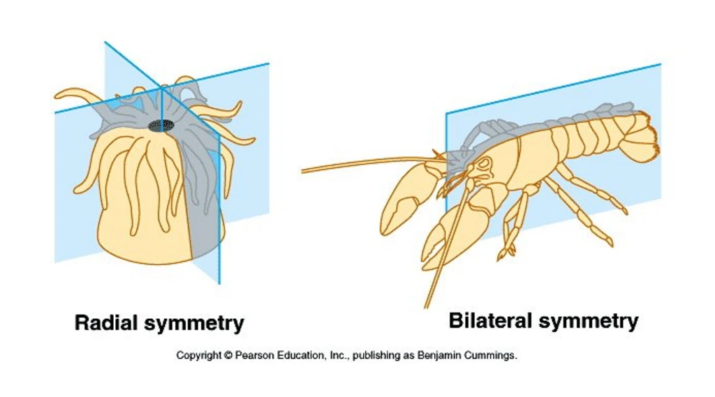 _upload_1758073848.png?u=1758073848