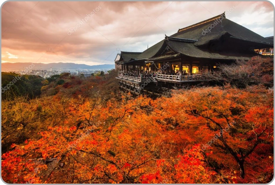 %EA%B5%90%ED%86%A0.png?type=w1