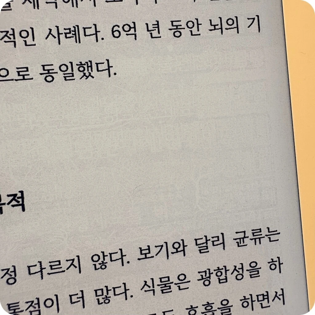 _upload_1760456548.jpeg?u=1760456548