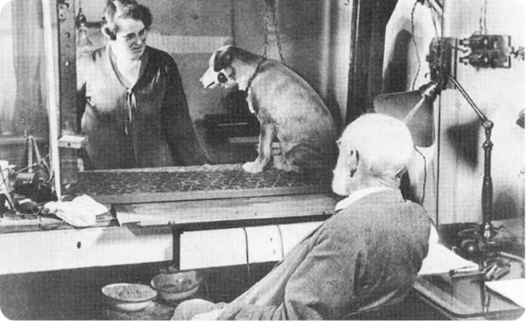 _upload_1758073889.png?u=1758073890